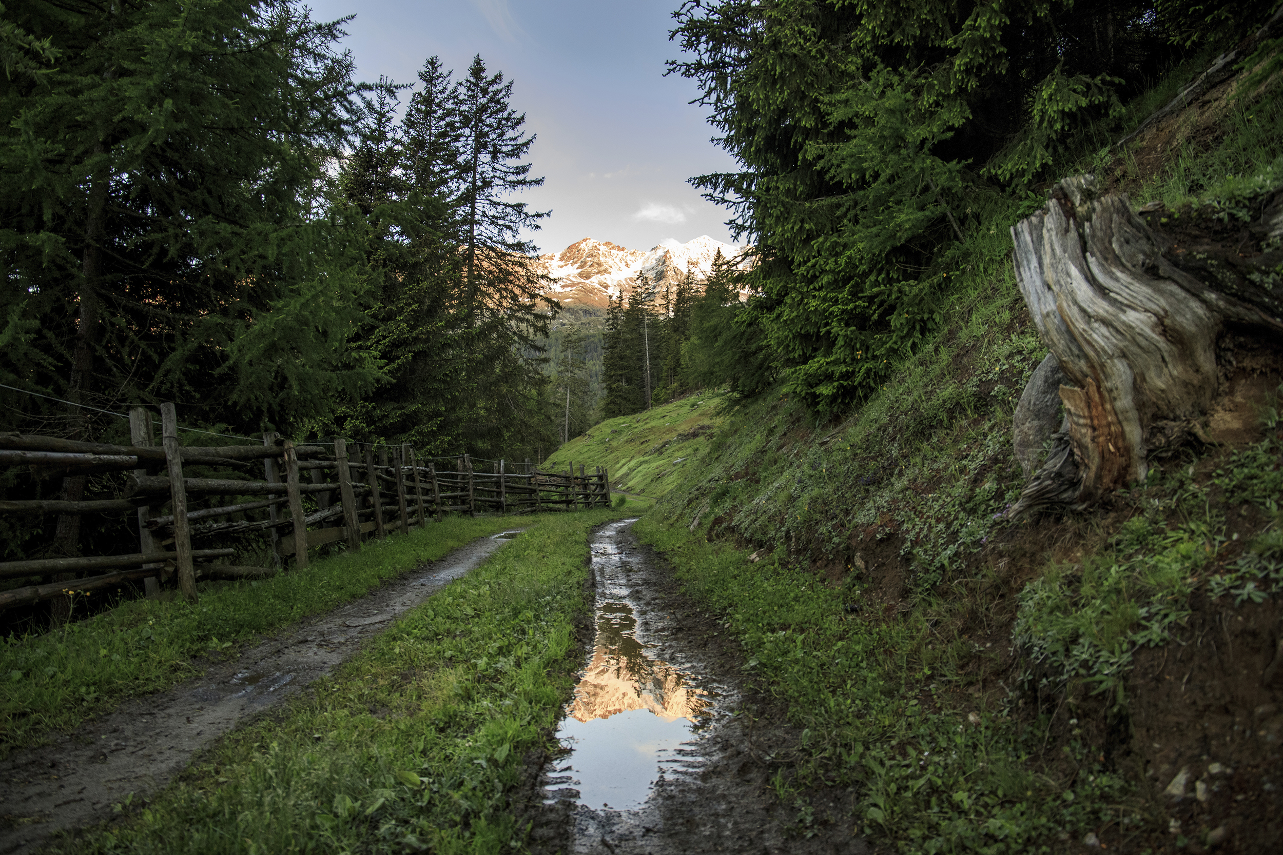 huamet – nachhaltige Holzaccessoires made in Südtirol